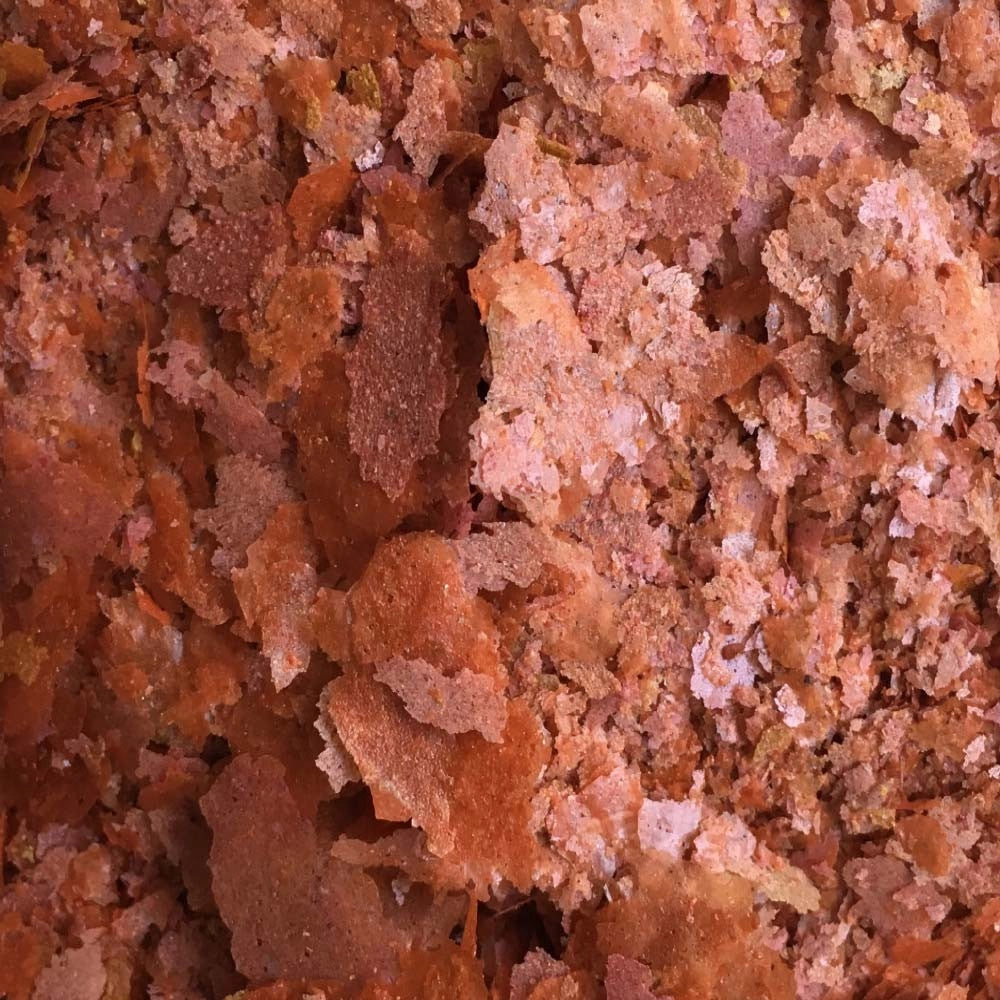 Amtra Pro Color F - Mangime in scaglie per la naturale colorazione dei pesci d’acquario Formato: 250 ml