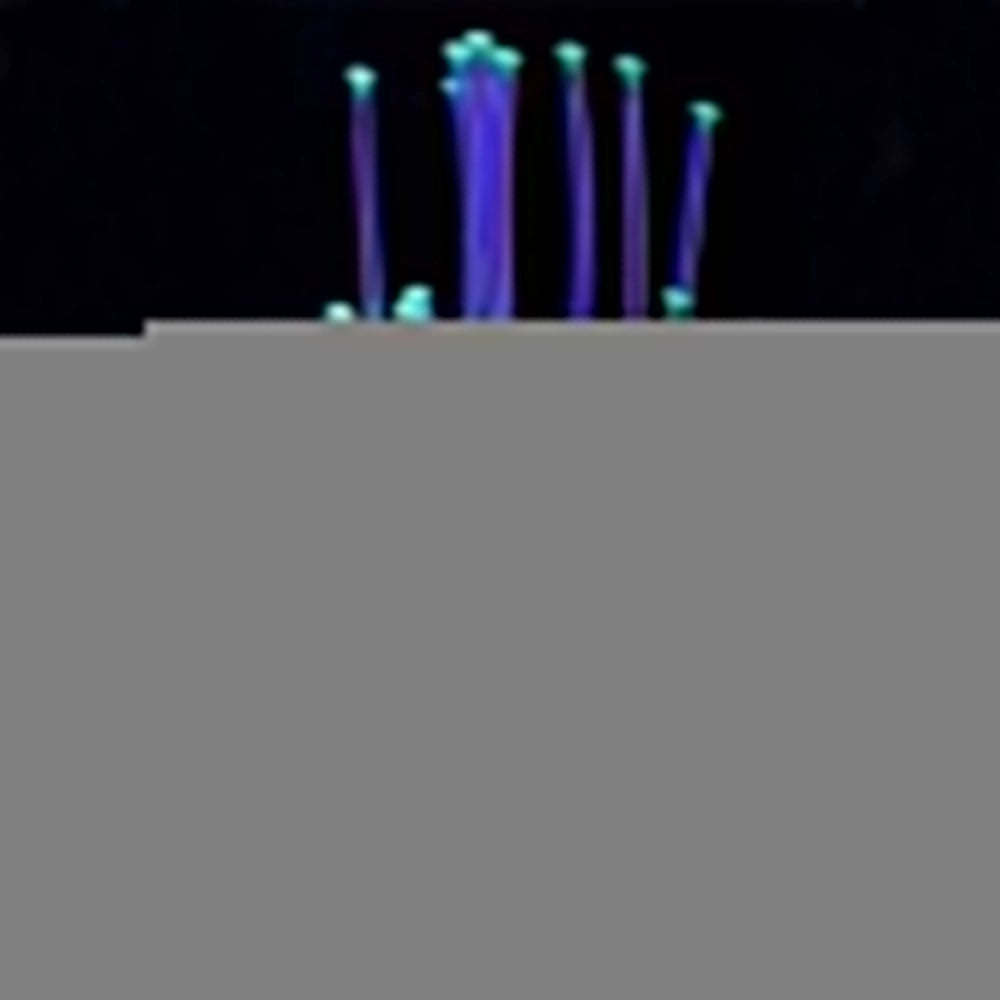 AQL Decor Fluo modello 26O cm10x5x21h - decorazione in silicone fluorescente