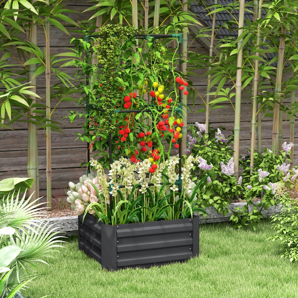 Hochbeet con griglia rampicante ¨C zephmum ¨C grigio scuro 61x61x140 cm