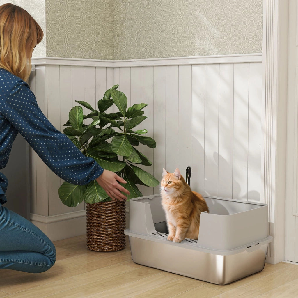 Arenero per Gatti XL ¨C zephmum ¨C Grigio Acciaio Inox 60x40x29.5 cm