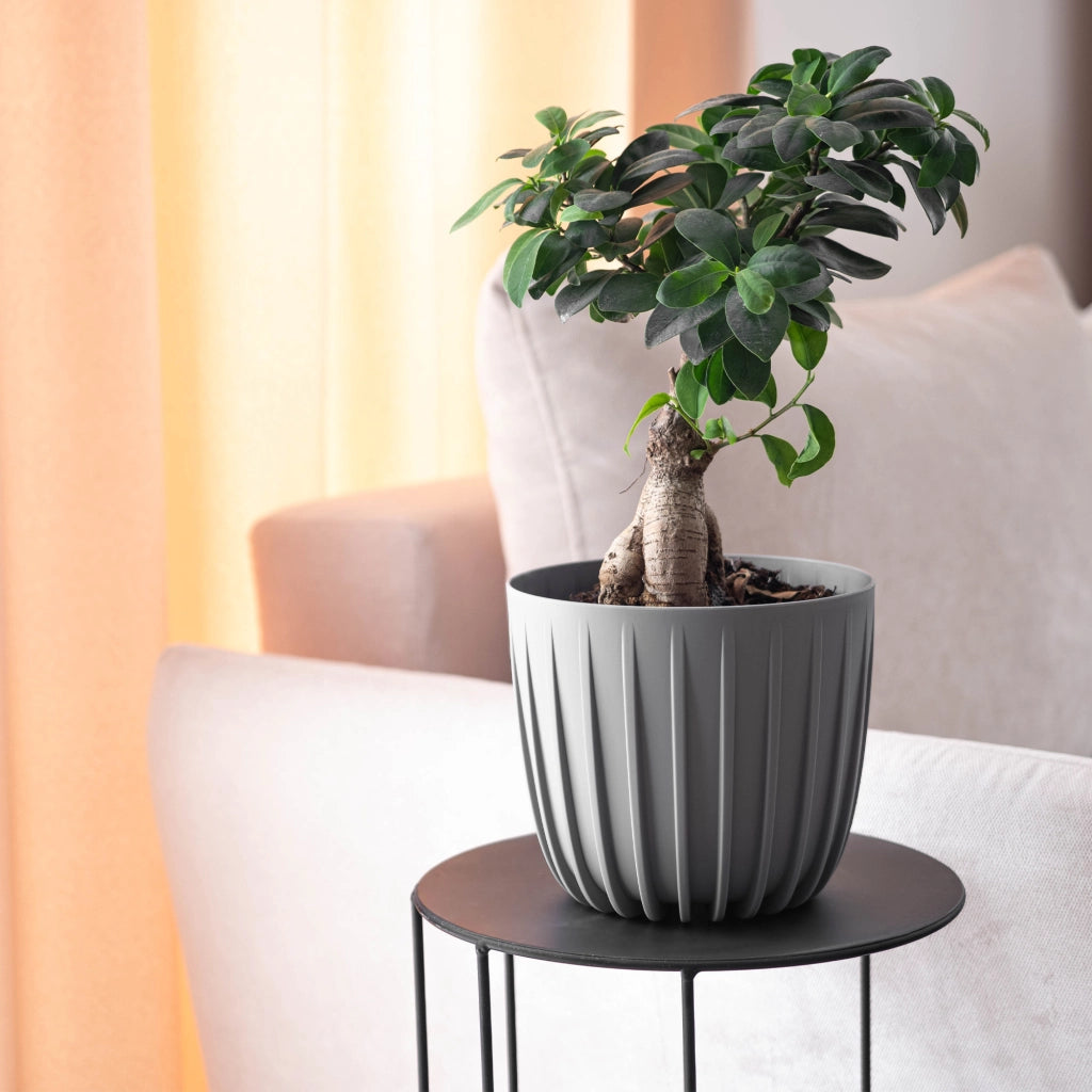 KADAX Vaso da fiori, coprivaso rotondo in plastica, 20 cm, supporto per fiori grigio