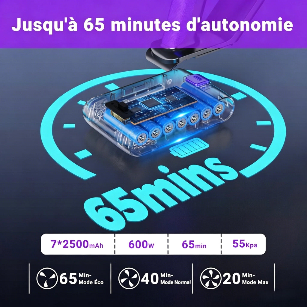 Aspirapolvere a bastone senza fili - DSV112A - 550W - 55Kpa - 60 Min di autonomia - Per peli animali Purple