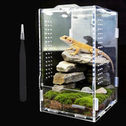 Casa per Rettili 360° - Terrario in Acrilico 20x12x12 cm - Incluso Termometro - Transparente/Respirabile - Adatto per Lucertole/Aracnidi