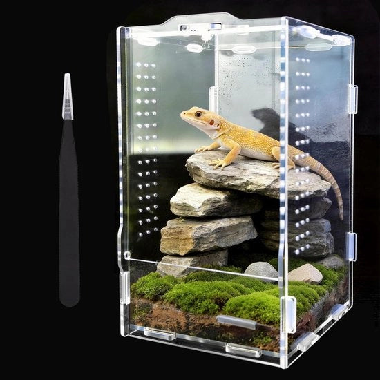 Casa per Rettili 360° - Terrario in Acrilico 20x12x12 cm - Incluso Termometro - Transparente/Respirabile - Adatto per Lucertole/Aracnidi