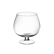 Terrario Bottle Garden Coppa per Terrario in vetro cm19x21h