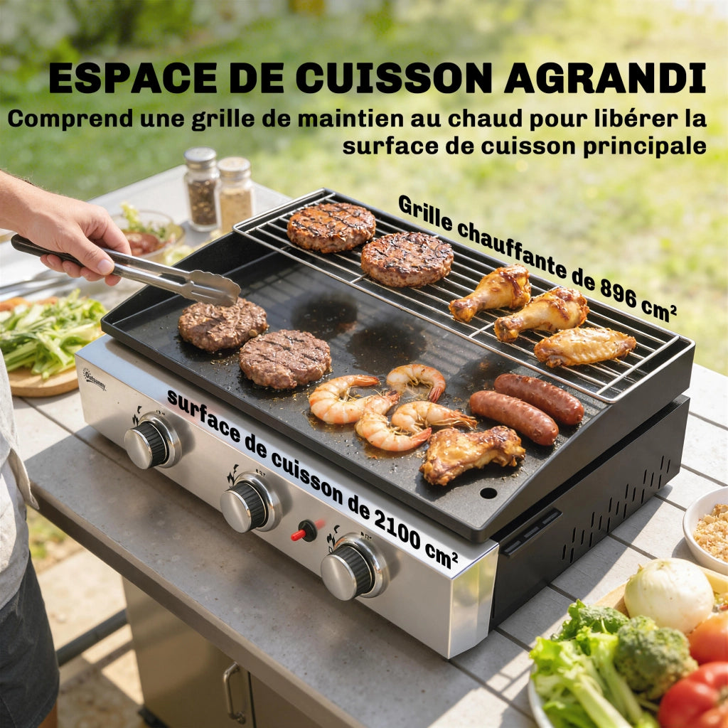 Piancotto Barbecue a Gas ¨C zephmum ¨C Nero, Acciaio Inox, 62x44x21cm