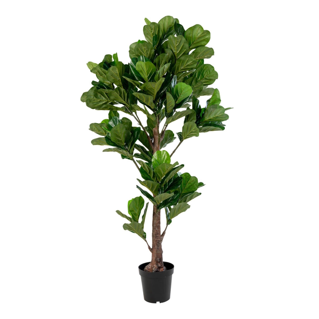 Pianta Artificiale Ficus Lyrata, Verde, Polietilene, 81x93x190 cm