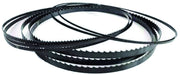 Femi LAMA PER SEGATRICE A NASTRO ''785XL'' mm. 1735x13x0,9 dentatura Z6/10