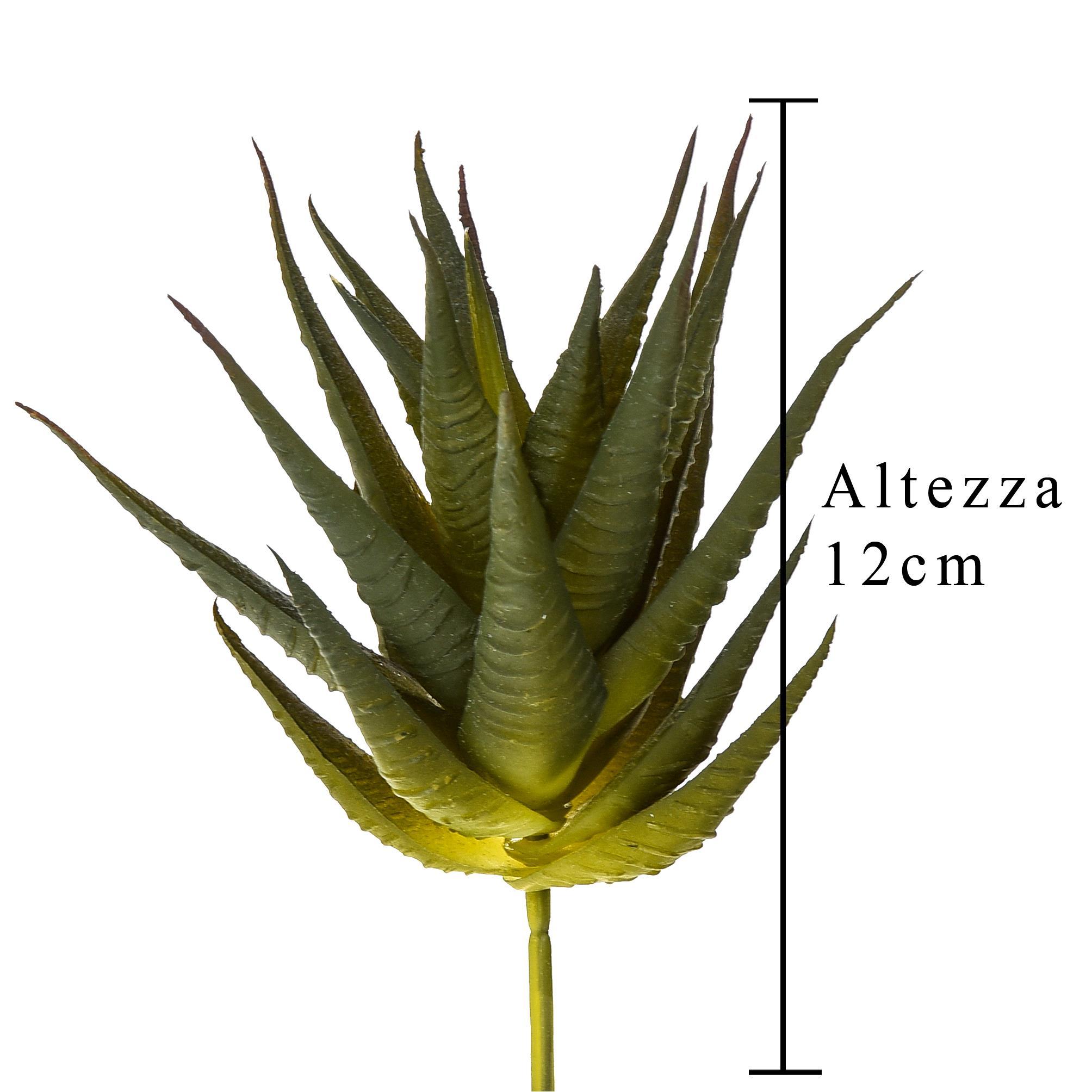 Set 9 Echeveria Cactus Artificiale Altezza 12 cm Verde