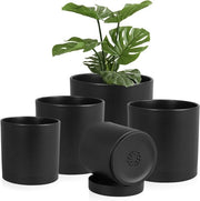 Set di 5 Vasi per Piante con Disco | Vasi in Plastica Nera per Piantoni 10,2–17,8 cm | Per Piante da Soggiorno, Balcone o Idrocoltura