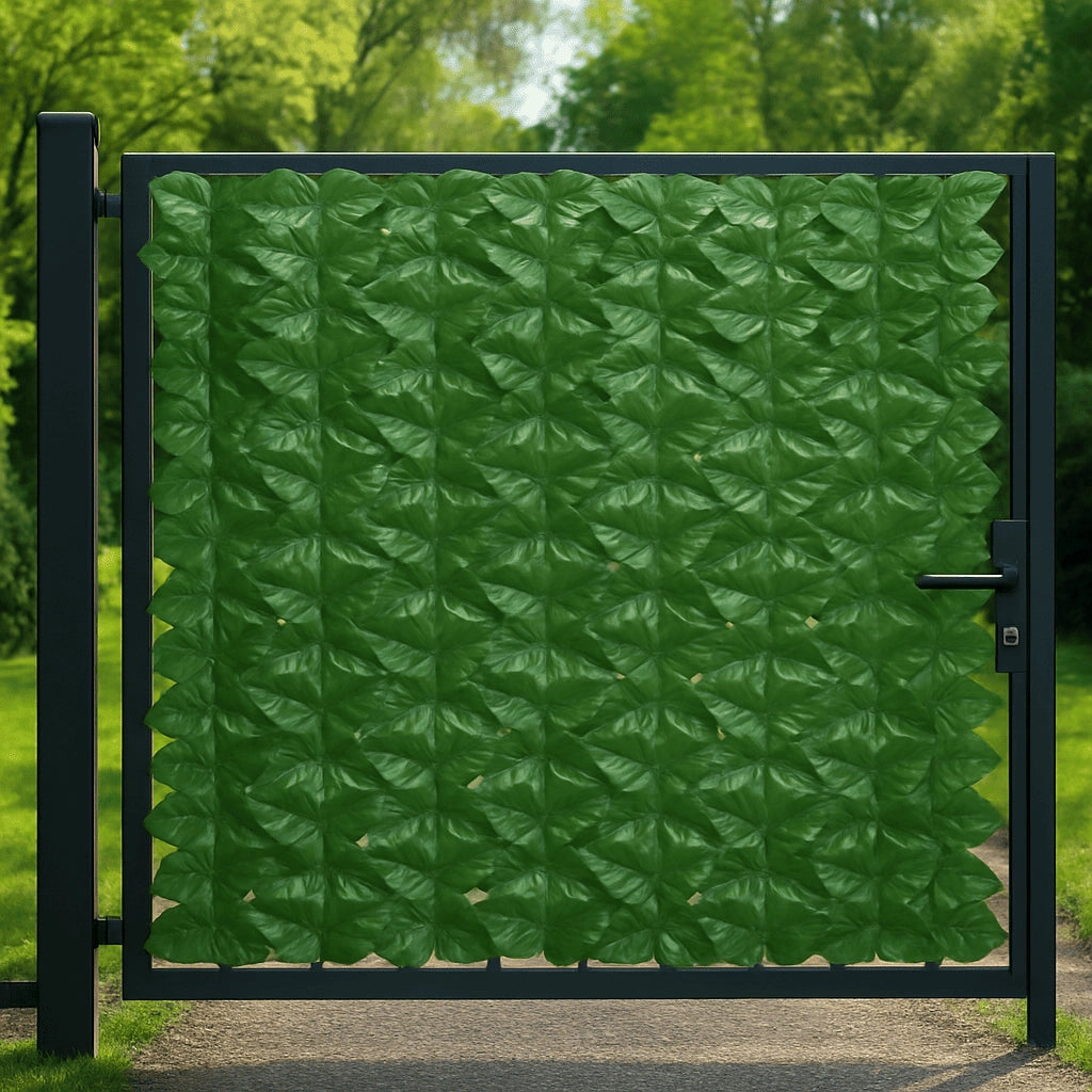Arella sempreverde 300xh100 "Lauro Light"