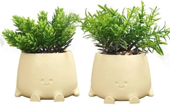 Decorazione con Pianta Bonsai per Camera da Letto, Soggiorno, Ufficio, Bagno, 2 pezzi, con Vaso.