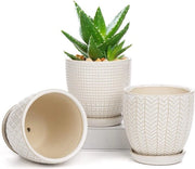 Set di 3 vasi ceramici per piante - vaso per succulente con foro di drenaggio - per piante grasse e cactus - per interni ed esterni - per giardino, casa e vetrina - diametro - Oairse