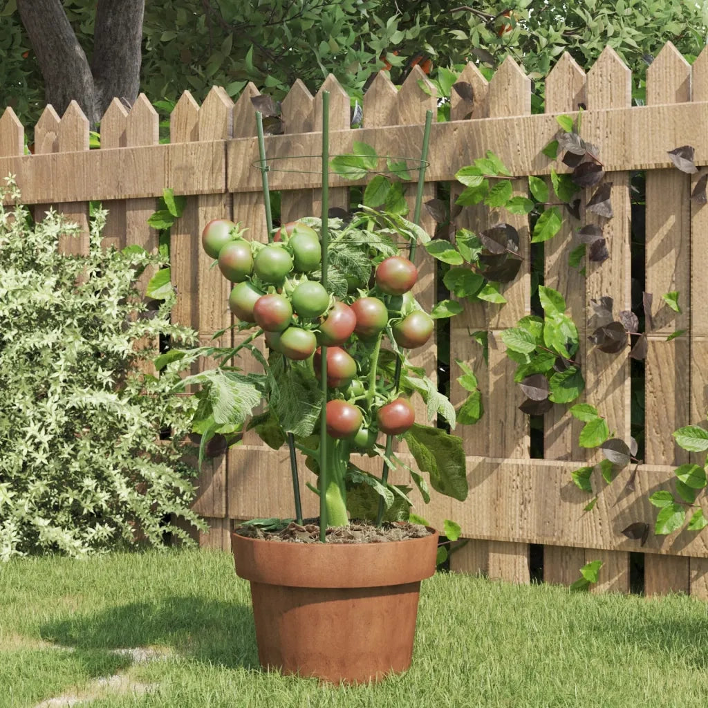 Supporti Piante da Giardino con 3 Anelli 5 pz Verde 45cm Acciaio CFW1963005