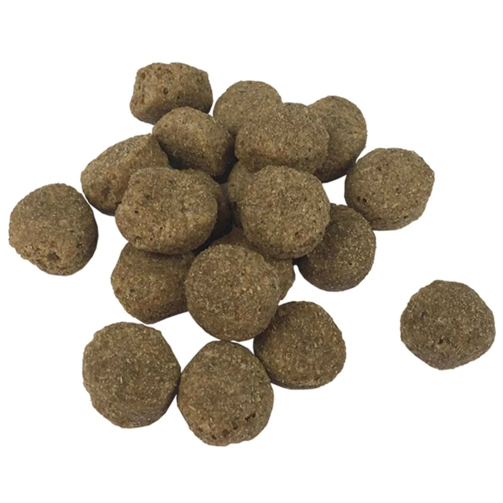 Supporto per alimentazione e ciotola con cibo per cani 3053507