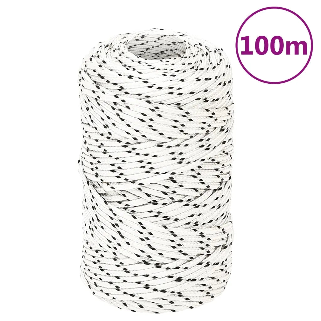 Corda Intrecciata per Barca Bianca 2mm x 100m Poliestere 152743