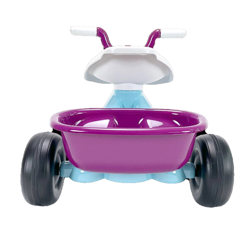 Triciclo a Pedali Primi Passi per Bambini 3 Ruote e Vano Contenitore Disney Frozen Azzurro e Viola