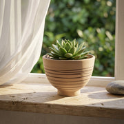 VASO MEDIO NARCISO