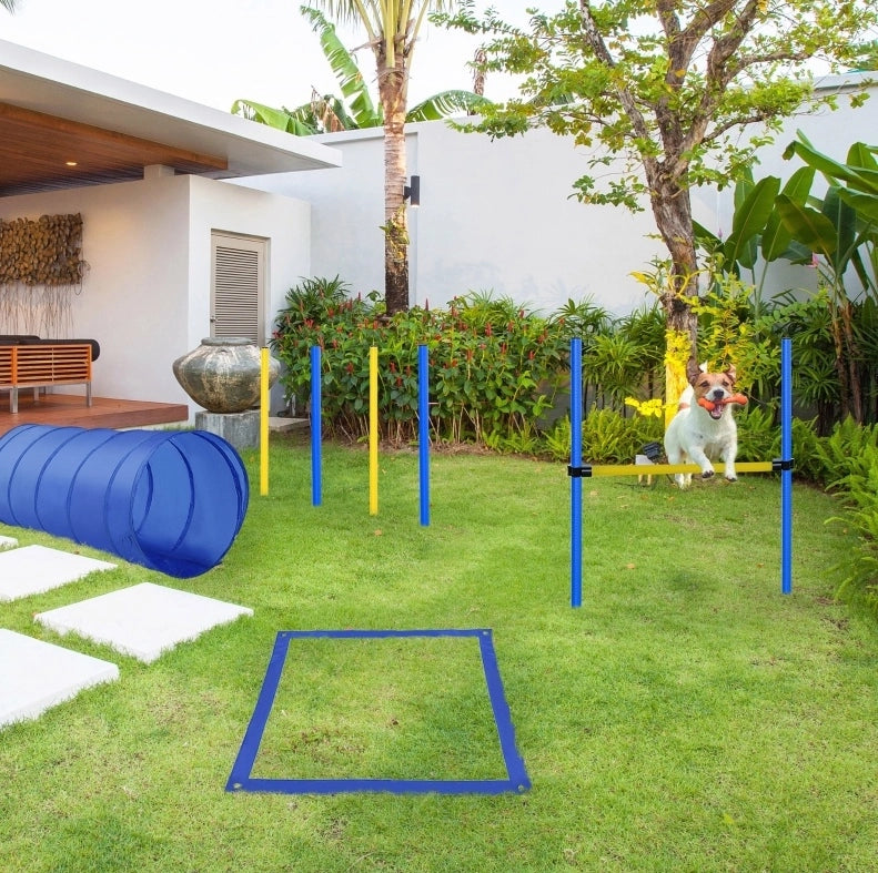 Set Agility per cani 5 pezzi con tunnel e ostacoli