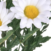 Set 6 Margherite Artificiali Altezza 66 cm