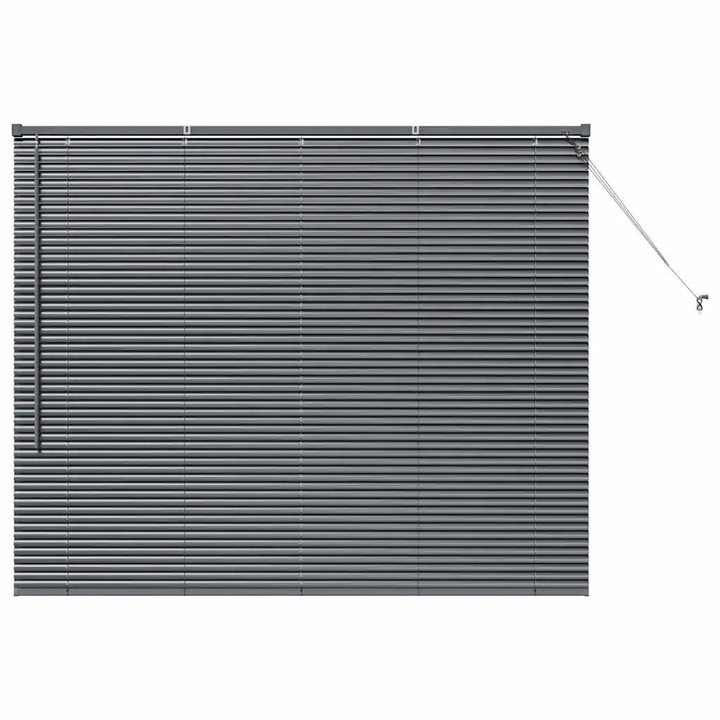 vidaXL Tenda per Finestra con tende Manuale Grigio scuro Alluminio