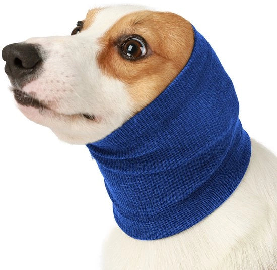 Set a doppio, dimensione L, collare blu per animali domestici, collare a forma di testa di cane, caldo, collare per cani