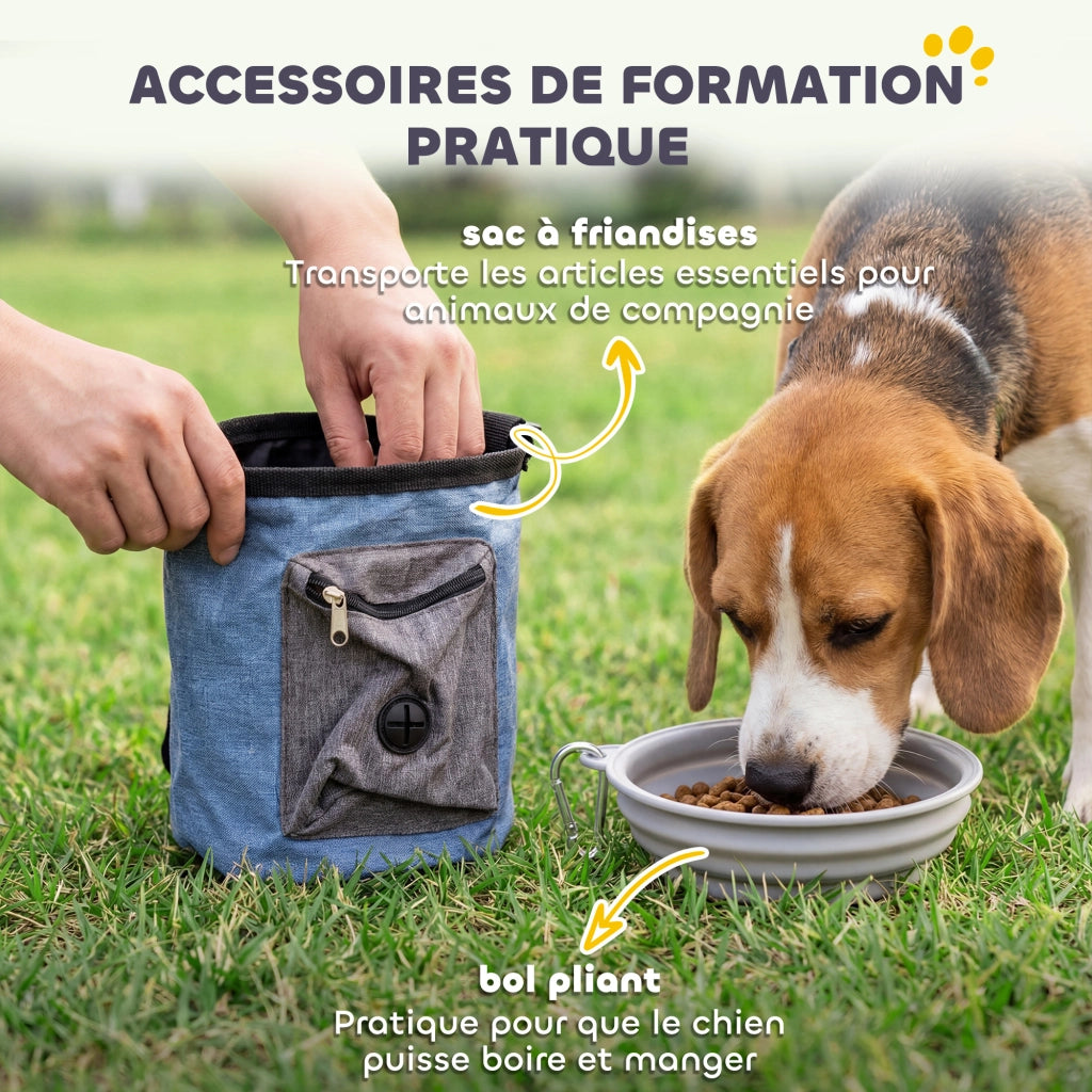 Set Agilit¨¤ per Cani 11 Pezzi ¨C zephmum ¨C 2 Tunnel, Salti Regolabili, Arancione e Blu