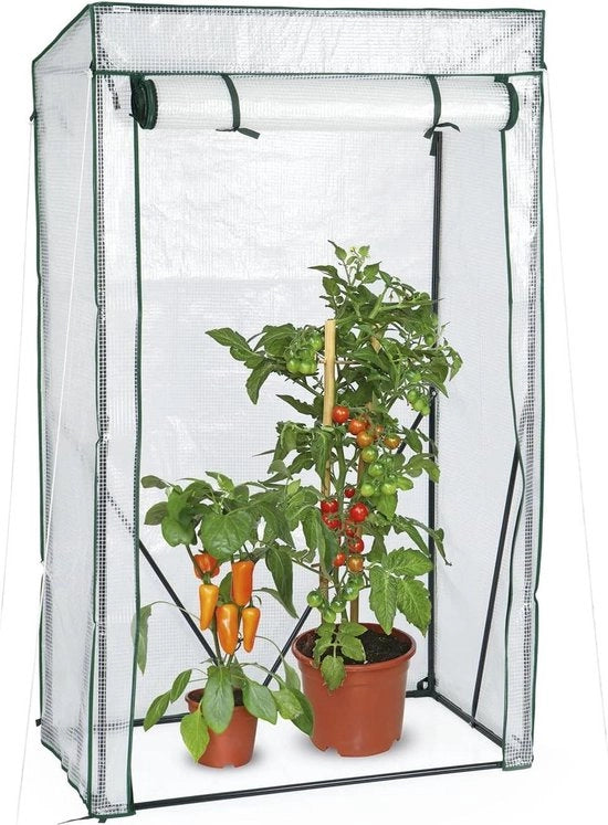 Mini casse per pomodori da giardino - Pellicola trasparente - Doppia parete - 100 x 50 x 158/170 cm