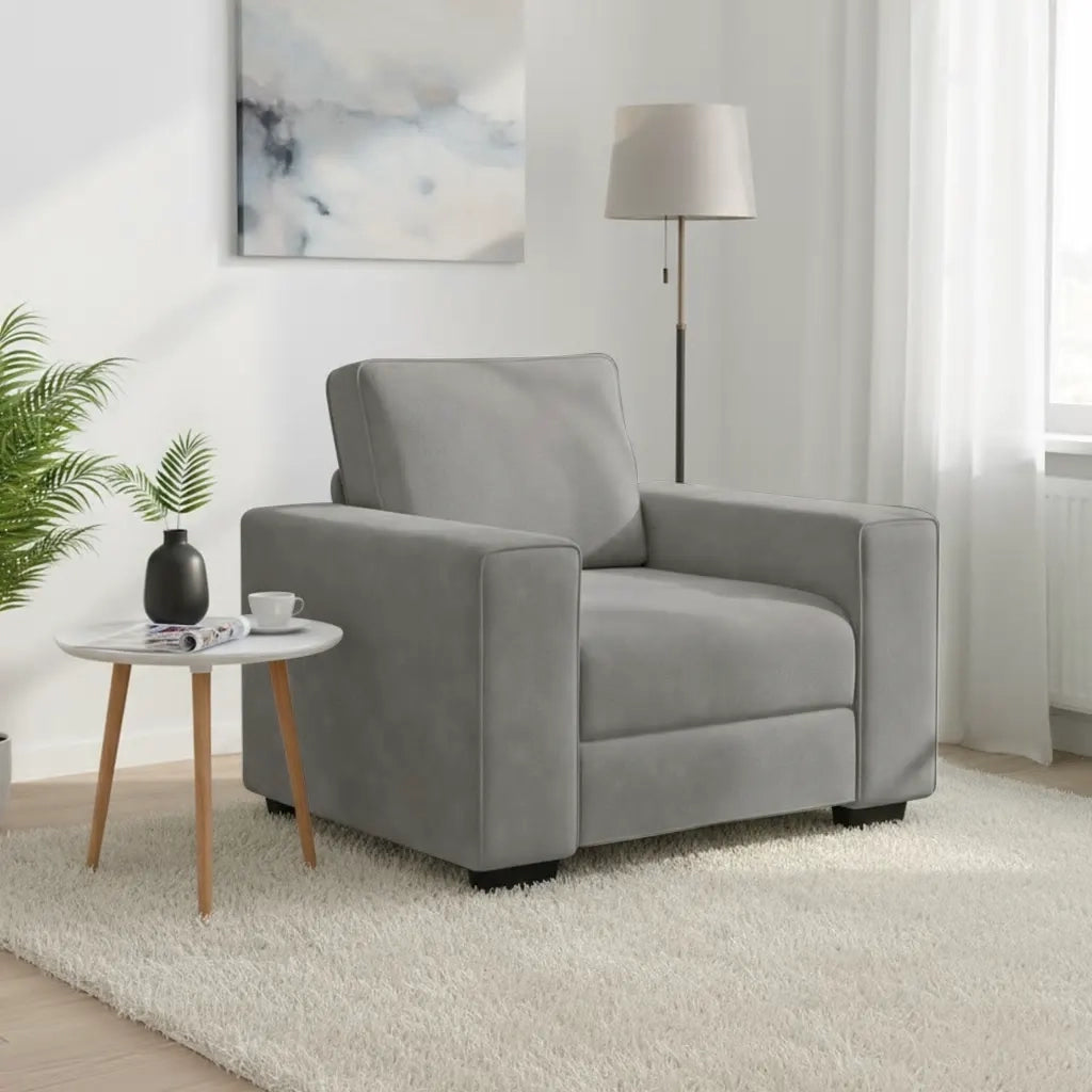 Divano Sedia Grigio Chiaro 60 cm Velluto