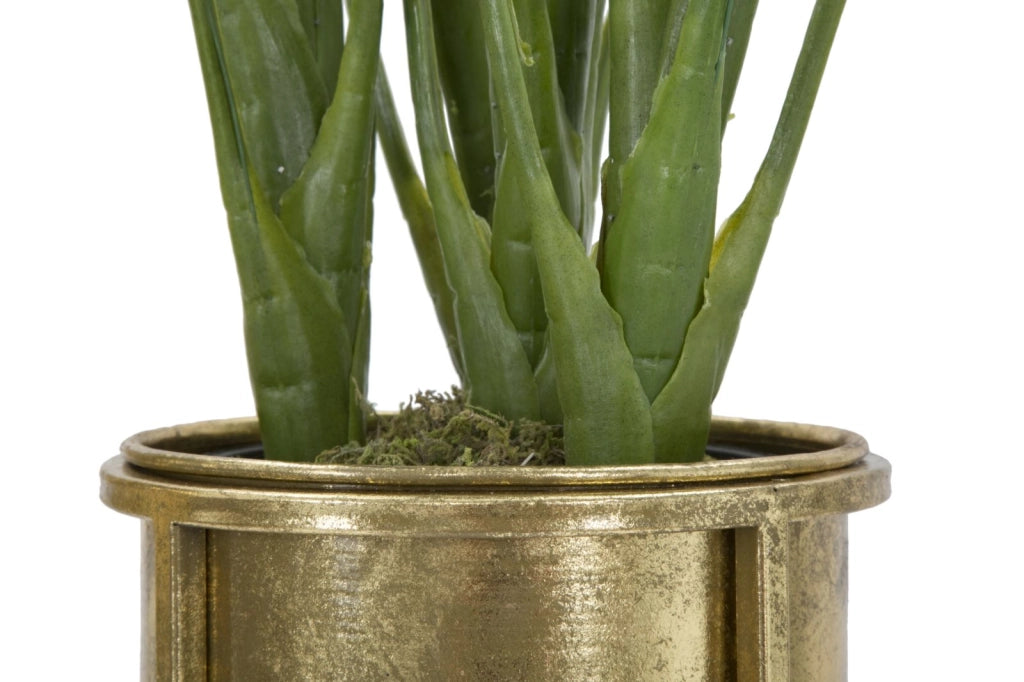P/FIORI GLAM COPPIA CM � 27X62-21,5X52