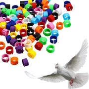 Ringen in plastica per polli, pavoni e piccioni - 100 pezzi - 8 mm grandi - Con clip per uso facile - Multicolore - Adatto per piccoli animali - Scelta di colore casuale