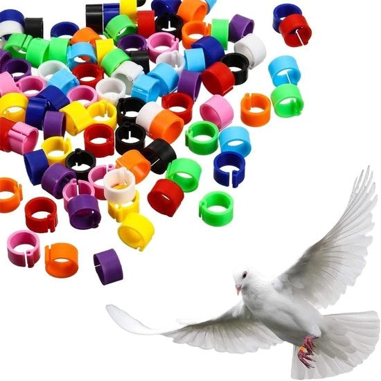 Ringen in plastica per polli, pavoni e piccioni - 100 pezzi - 8 mm grandi - Con clip per uso facile - Multicolore - Adatto per piccoli animali - Scelta di colore casuale