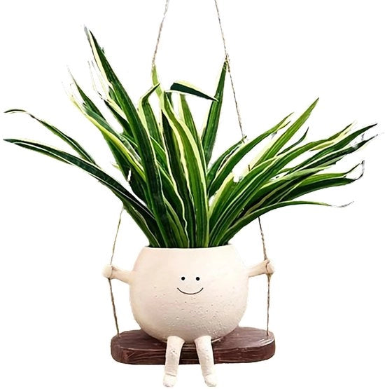 Mandolina a sospensione con fiori pendenti, con schizzo di movimento e sorriso, vaso da appendere per piante di piante grasse (stile 1)