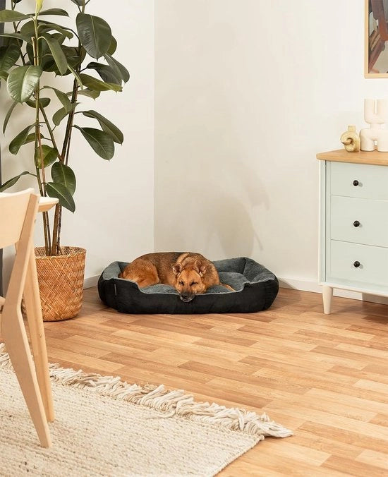 Letto per cani e gatti, letto per animali domestici, disponibile su entrambi i lati, materasso per cani