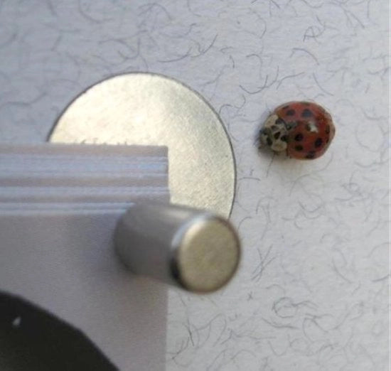 Mini panno da attacco magnetico: il più piccolo + forte al mondo!