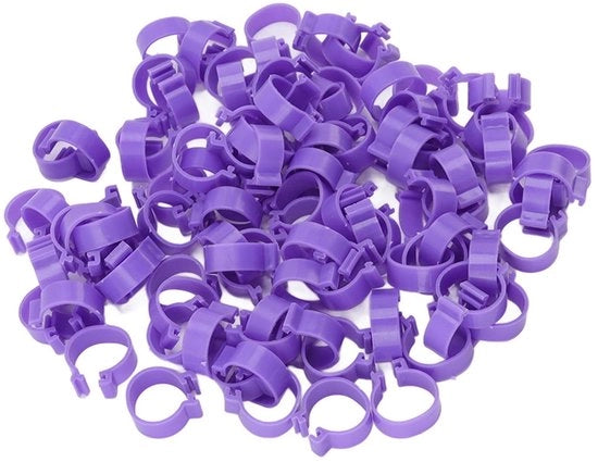Fasciature per piedi 100 pezzi - Materiale ecologico in plastica - Etichettatura
