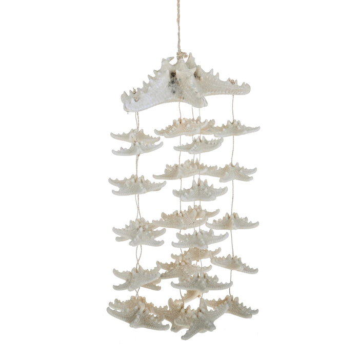 Decoro con Stelle Marine H 40 cm