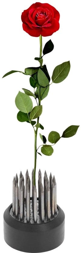 Pianta di acciaio inossidabile - 26 mm - Per fiori - Stabilità - Progettazione intuitiva - Composizione fiorale