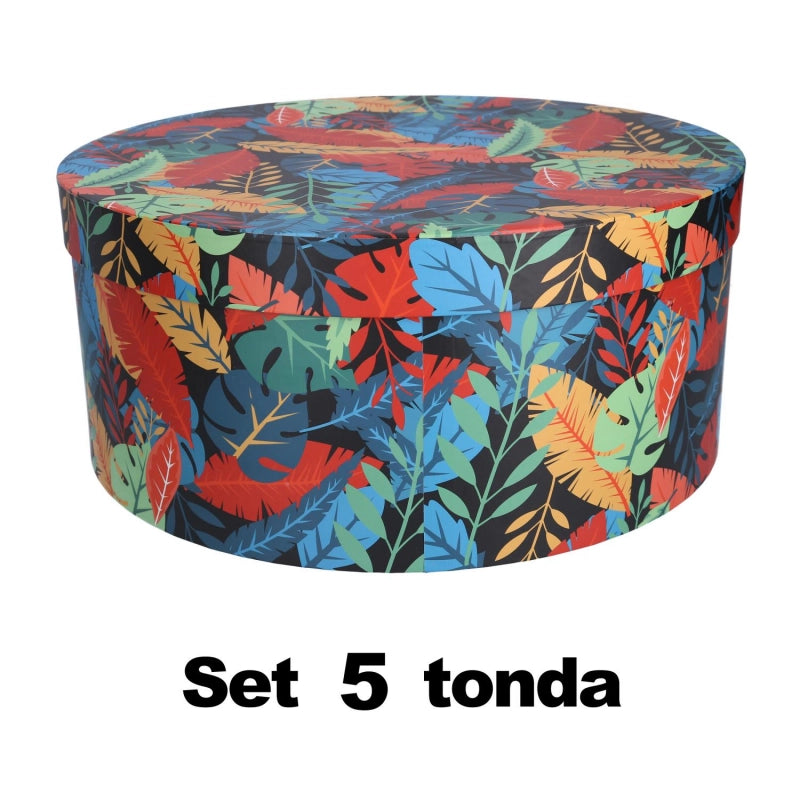 Scatola cartone 1-5 piume multicolor tondo cm ø40,5h17,8