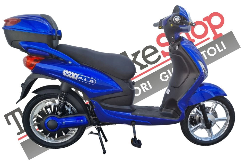 Bici Elettrica Scooter Velocipede Vitale NJT-007 250W  20Ah 48V Batteria a Grafene-Blu