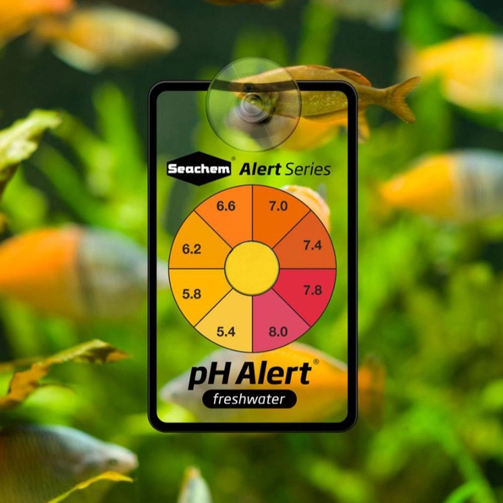 Seachem AlertCombo pH/Ammonia Durata 6 Mesi