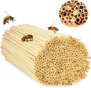 Kit per costruire un alveare - 500 pezzi - Insectario - Assistenza riproduttiva - Fai da te - Materiale di sostegno a base di tarassio - Ecocompatibile - 14,5 cm di altezza