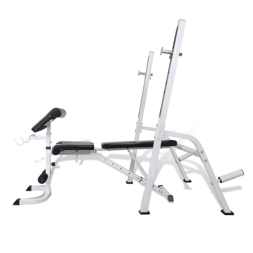 Panca di Allenamento Multifunzione CFW6112910