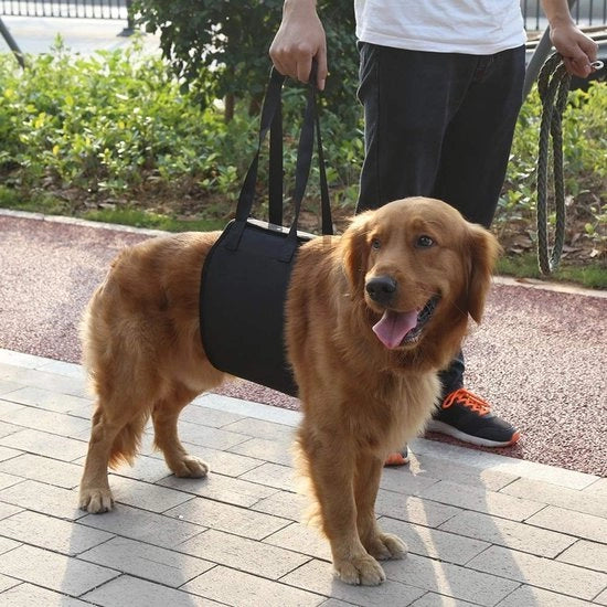 Harnas di sicurezza XL per cani - Cinturino di sollevamento per cani - Maniglione antiscivolo - Materiale in poliestere - Portatile - Sostegno per mobilità ridotta - Harnas per cani