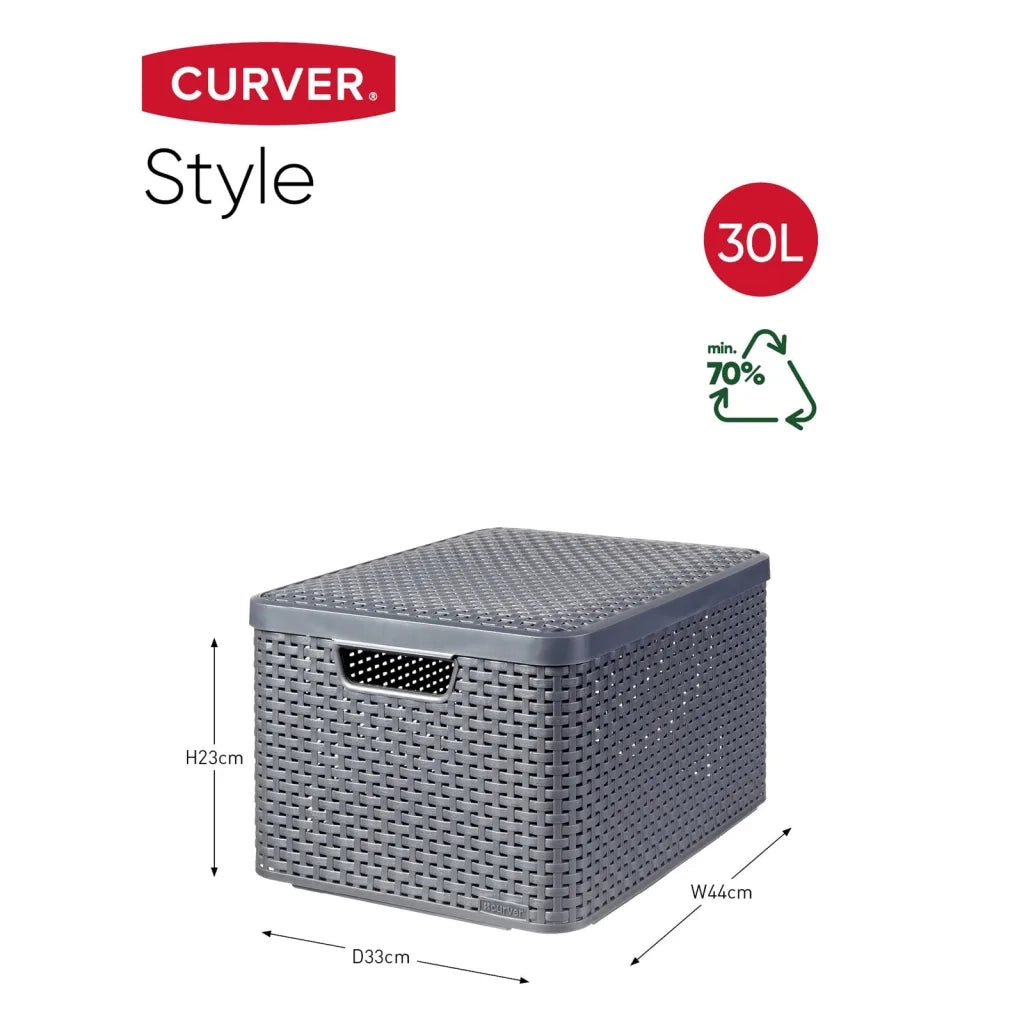 Curver Scatola Portaoggetti Coperchio Style L 30L Argento Metallizzato 443863