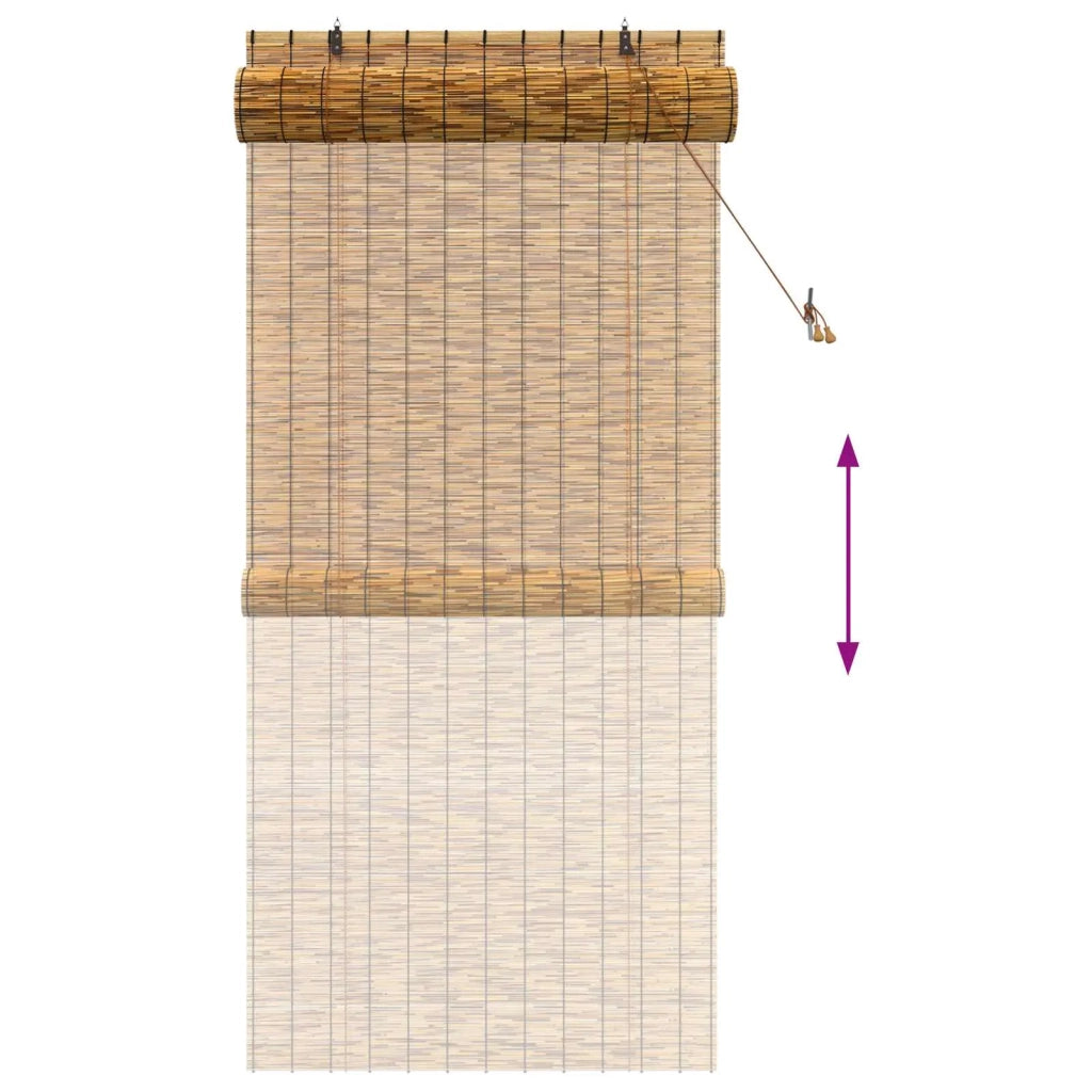 Tenda a rullo Marrone 100 x 220 cm Giunco 42034660