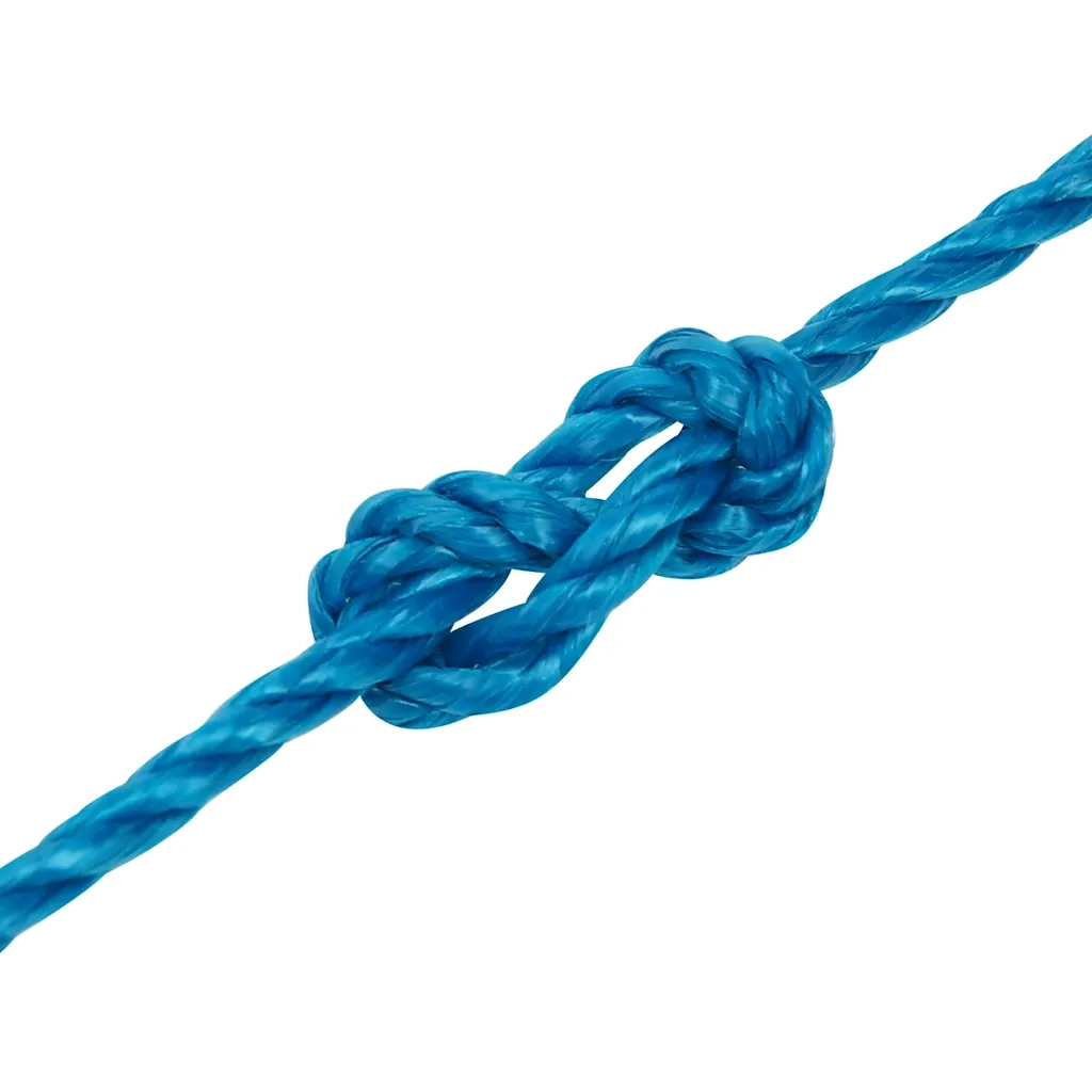 Corda da Lavoro Blu 3 mm 500 m in Polipropilene 152961