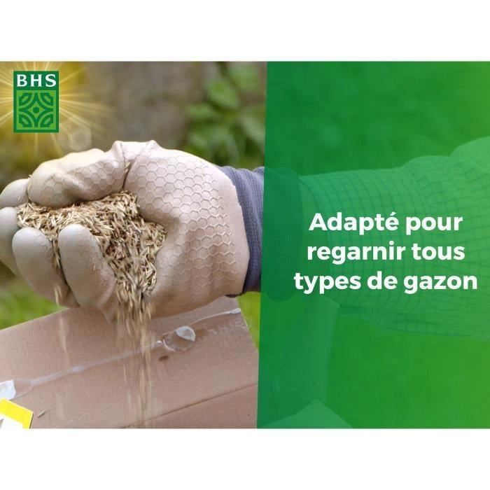 Rigenerante per terreni asciutti - BHS - 1 kg  40 mq  Robusto e durevole, con eccellente resistenza e tolleranza al calpestio.