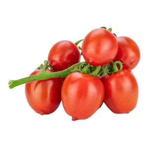 Pianta di POMODORO PICCADILLY rosso RAMPICANTE pomodori in VASO 14 CM innestati