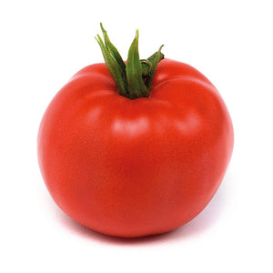 Pianta di POMODORO TONDO LISCIO rosso RAMPICANTE pomodori VASO 14 CM innestati